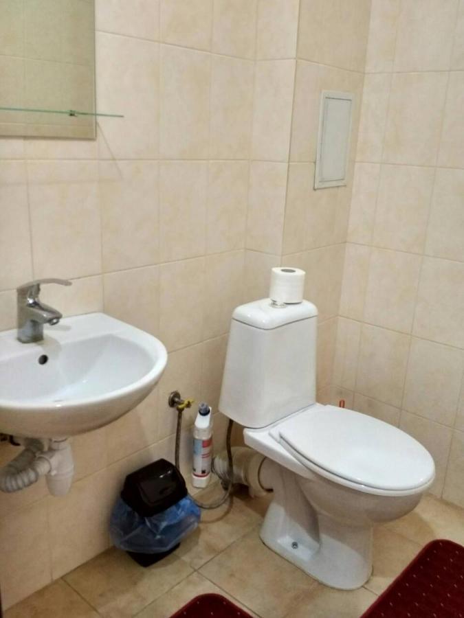 Apartments Domovik Просторная Квартира С Видом На Горы Muncaci Exterior foto